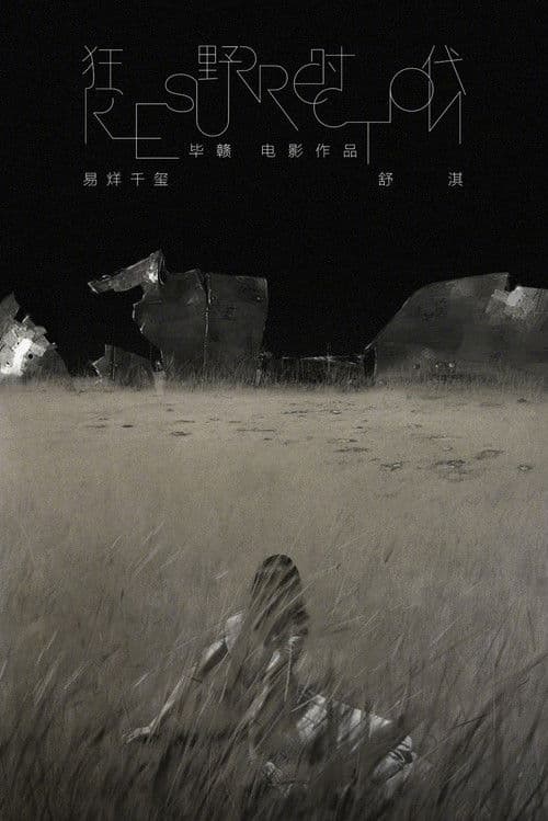 Poster phim Thời Đại Cuồng Dã