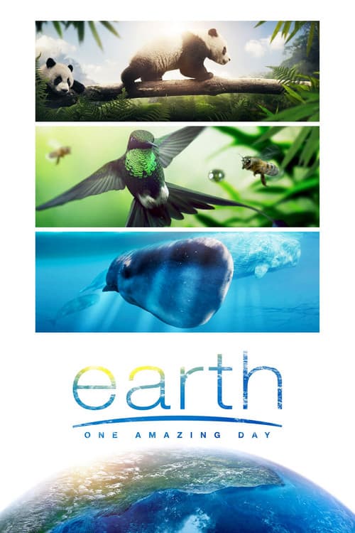 Poster phim Trái Đất: Một Ngày Tuyệt Vời