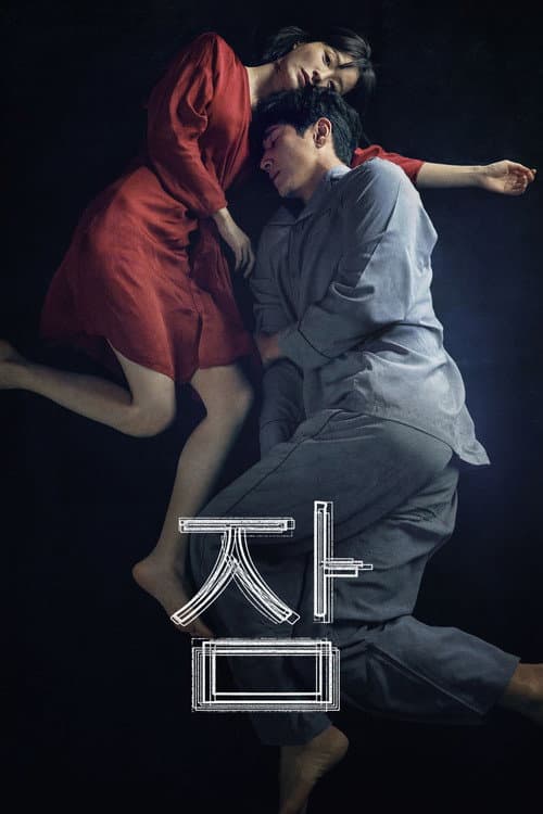 Poster phim Mộng Du