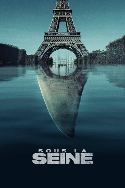 Poster phim Phía dưới sông Seine