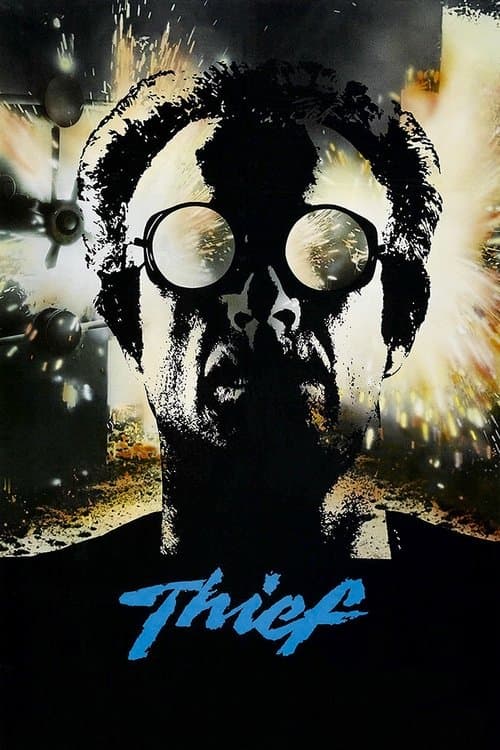 Poster phim Kẻ Trộm