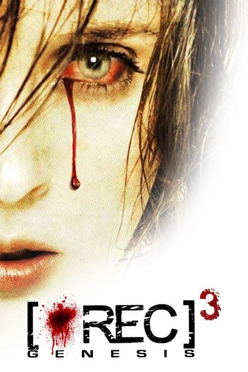 Poster phim Góc Quay Đẫm Máu 3