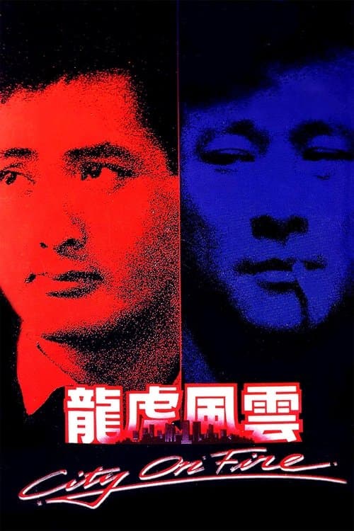 Poster phim Long Hổ Phong Vân