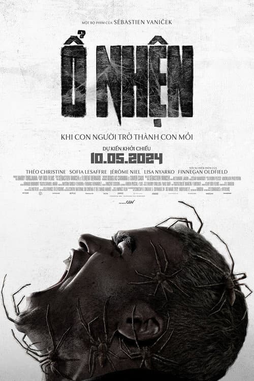 Poster phim Ổ Nhện