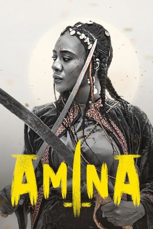 Poster phim Amina