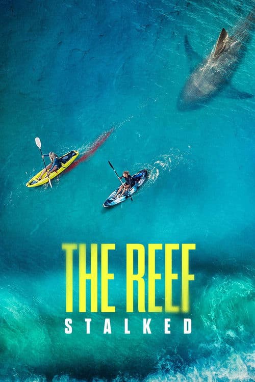 Poster phim Đá Ngầm: Kẻ Theo Dõi