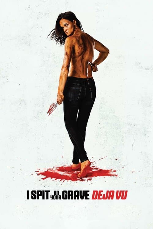 Poster phim Cô Gái Báo Thù 4: Ảo Giác