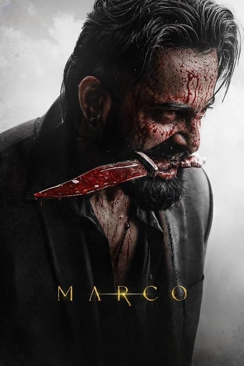 Poster phim Người Hùng Marco