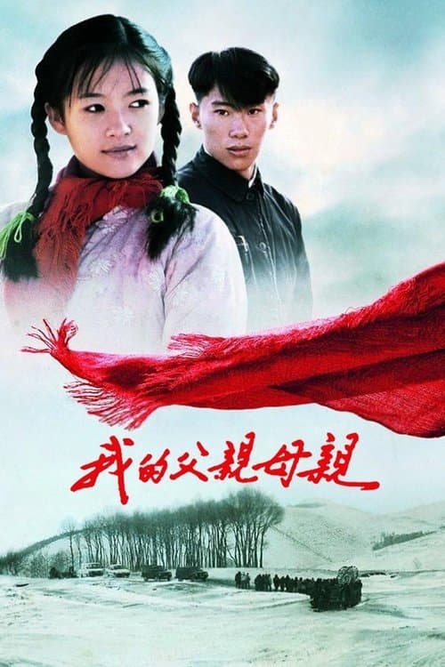 Poster phim Đường Về Nhà