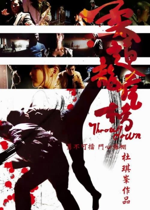 Poster phim Nhu Đạo Long Hổ Bang