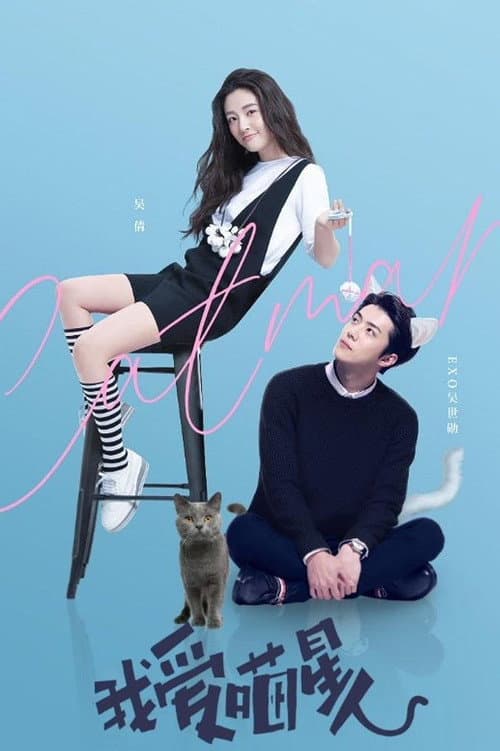Poster phim Tôi Yêu Một Miêu Nhân