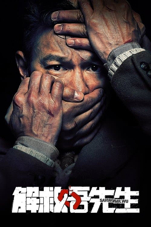 Poster phim Giải Cứu Ngô Tiên Sinh
