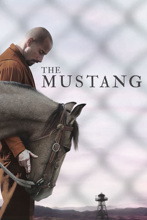 Poster phim Mustang: Thuần hóa
