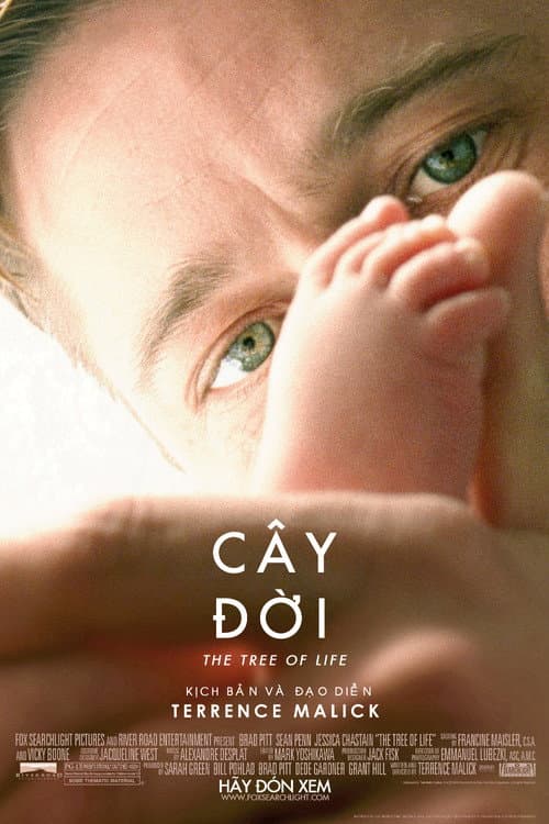 Poster phim Cây Đời