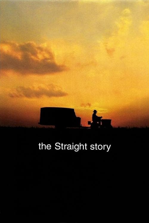 Poster phim Câu Chuyện Của Straight
