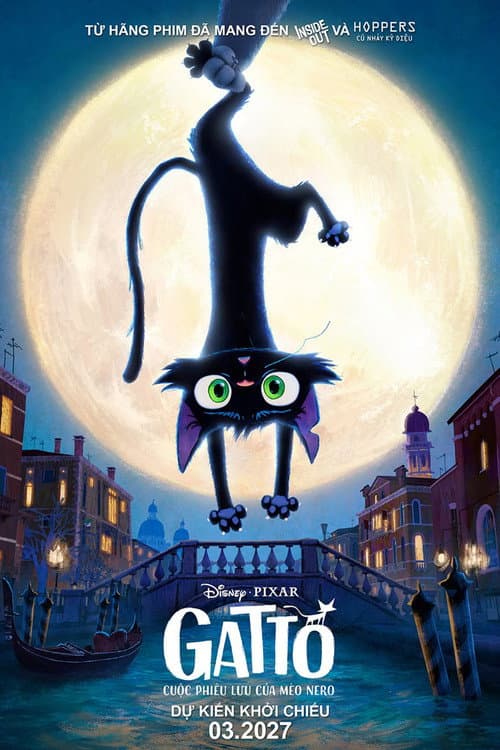 Poster phim Gatto