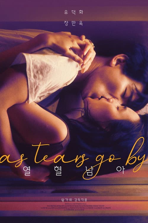 Poster phim Lệ Tình Lãng Tử