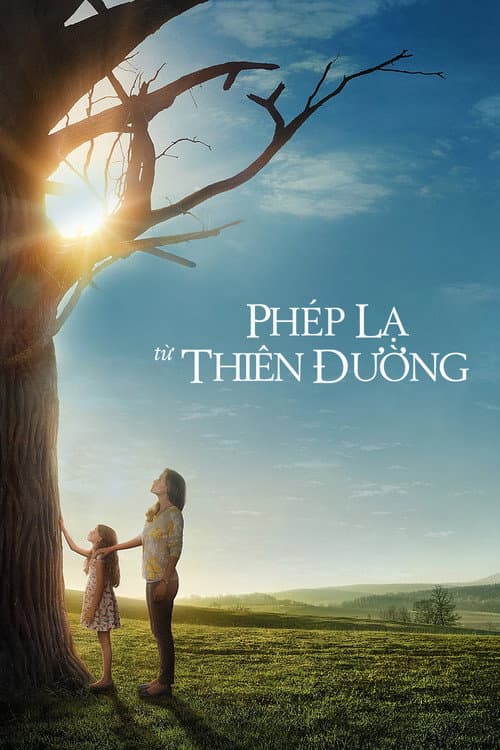 Poster phim Phép Lạ Từ Thiên Đường