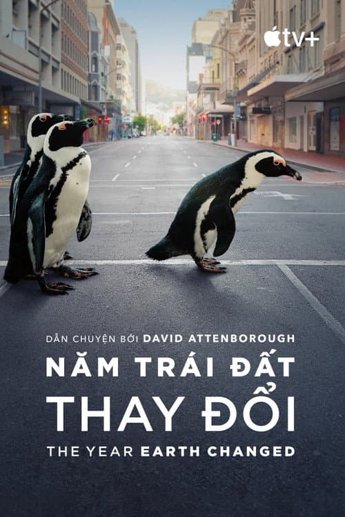 Poster phim Năm Trái Đất Thay Đổi - The Year Earth Changed