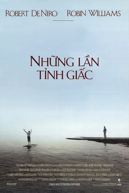 Poster phim Những Lần Tỉnh Giấc