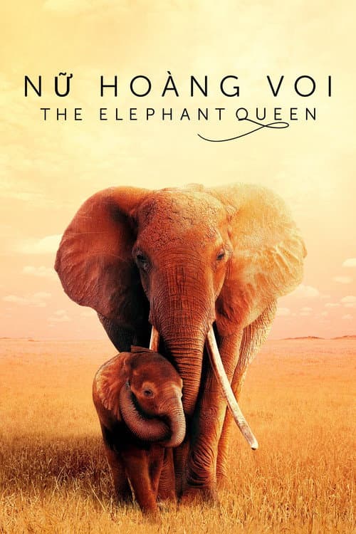Poster phim Nữ Hoàng Voi - The Elephant Queen