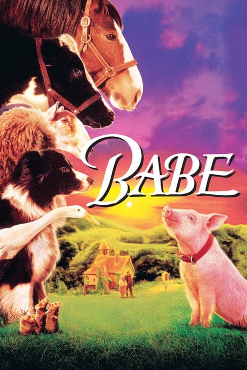 Poster phim Babe: Chú Heo Chăn Cừu